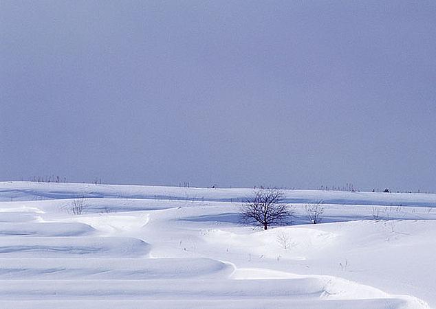 雪地