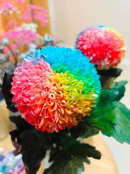 乒乓球_鲜花_永生花