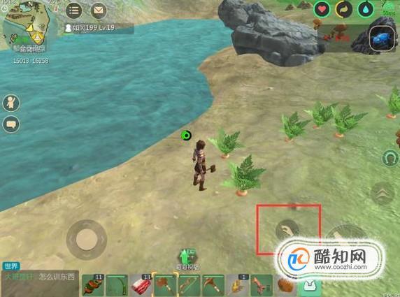 创造与魔法胡萝卜怎么得优质