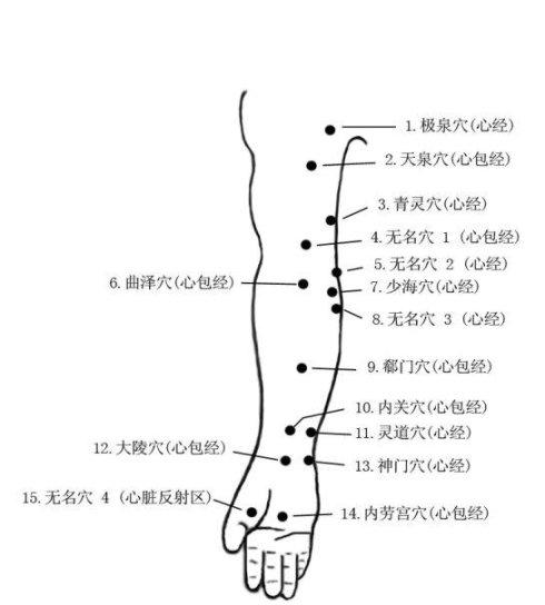 中医胸痹(冠心病)特效保健按摩经络,穴位和按摩手法(申明:本人不是