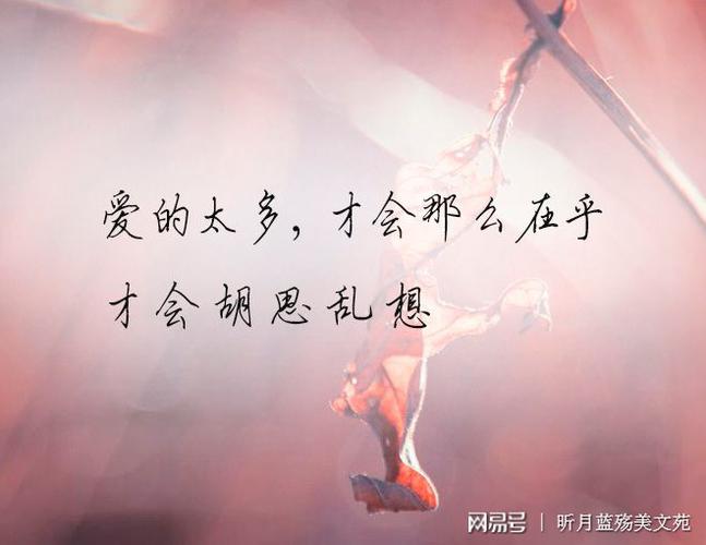 爱的太多才会那么在乎才会胡思乱想
