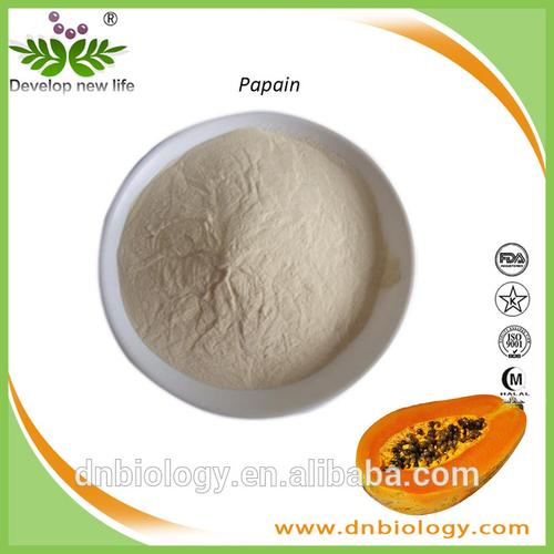 high quality & lowest price papain, papaya enzyme, papain