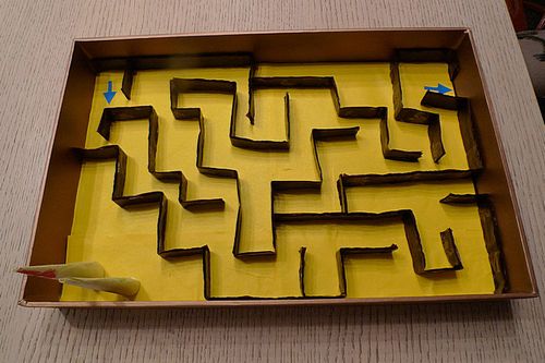 自制迷宫图 - 小三 - 县实验幼儿园伊索班(小三班)