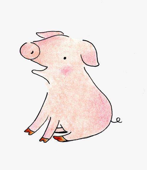 手绘小猪