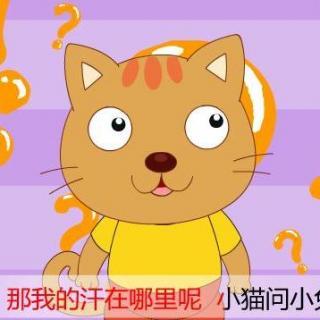小猫找汗