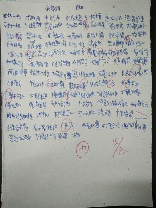 今天默写的四字词语
