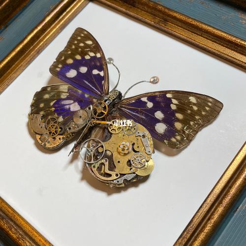 蒸汽朋克昆虫_朋克_p图_昆虫_兴趣爱好_手工