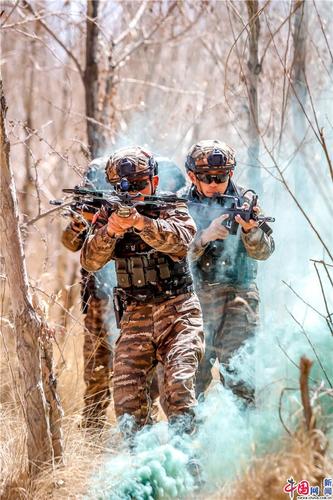 特战队员特战队员在丛林中掩护突击.杨浩 摄