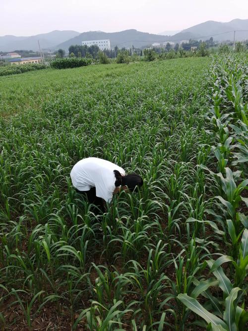 辛勤劳动让生活更美好——文祖中学7.
