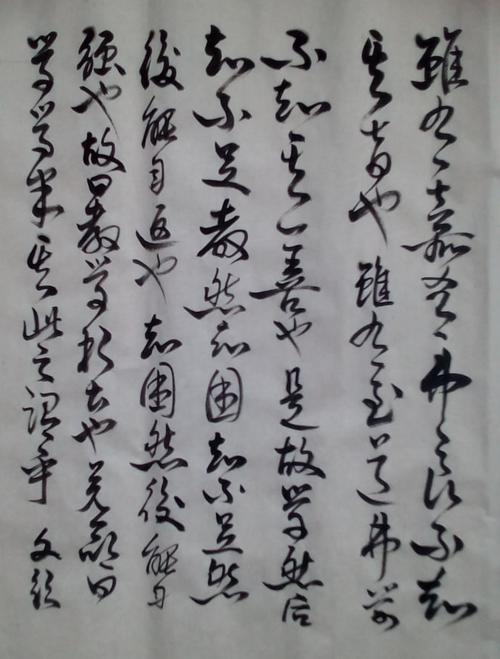 徐文钦草书:《虽有嘉肴》