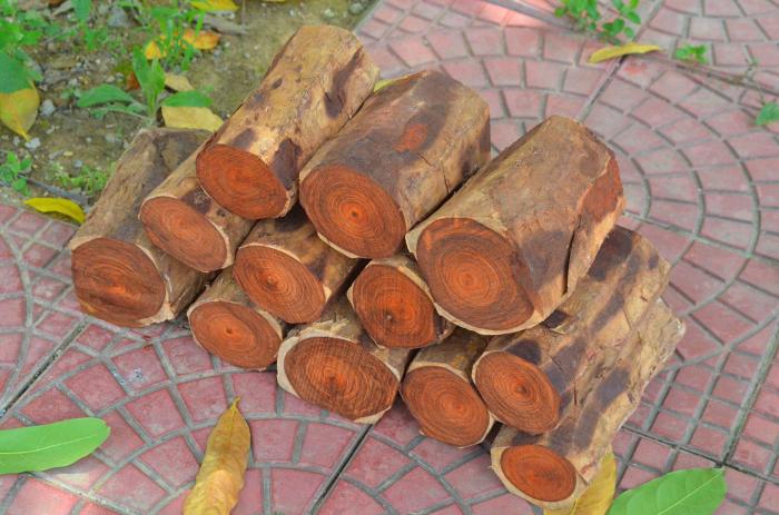 正宗印度小叶紫檀木料原木下角料diy紫檀边角料金星佛珠木雕刻料