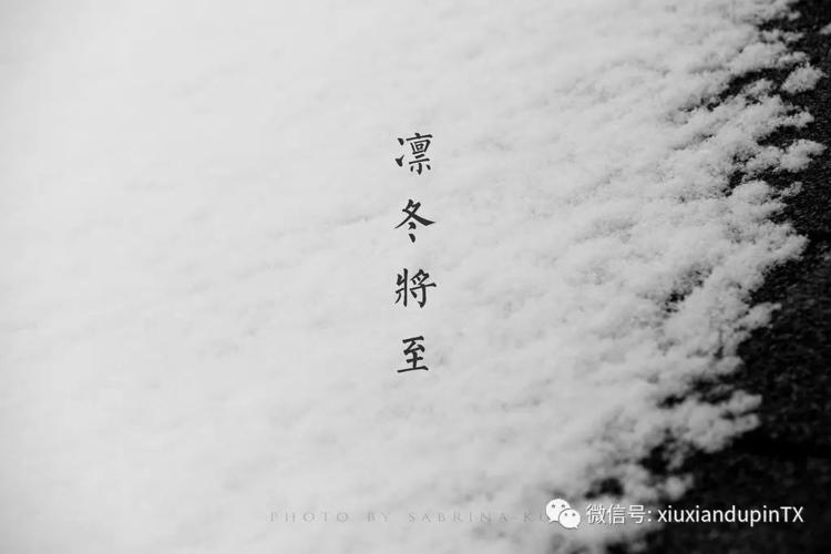 凛冬将至,那么大冰期是怎么形成?