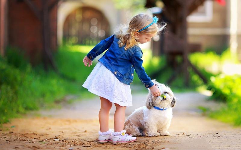 人与动物友好图片(4/20)