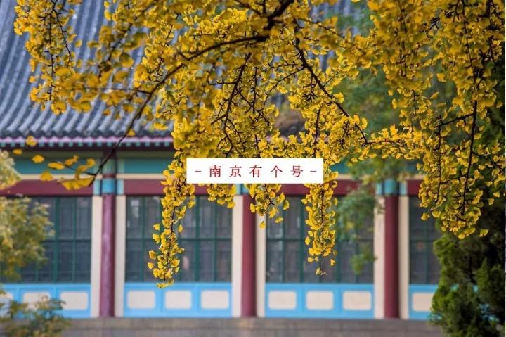南京,黄了!