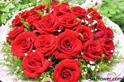七夕节送11朵玫瑰还是送19朵玫瑰好?-六朵花