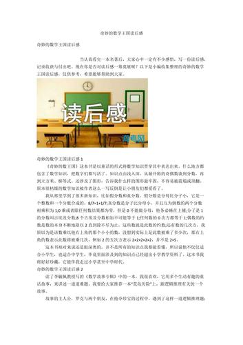 奇妙的数学王国读后感