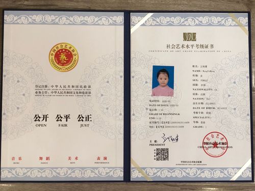 《全国社会艺术水平考级证书》-神墨口才考级