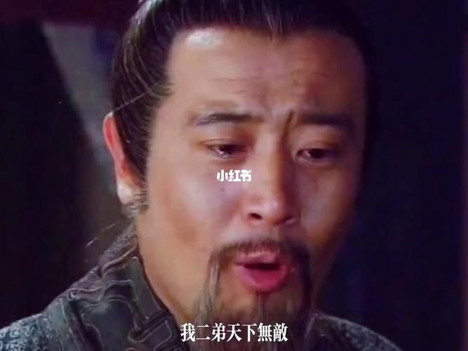 我二弟天下无敌_三国演义_影视_影视混剪(视频)_华语剧