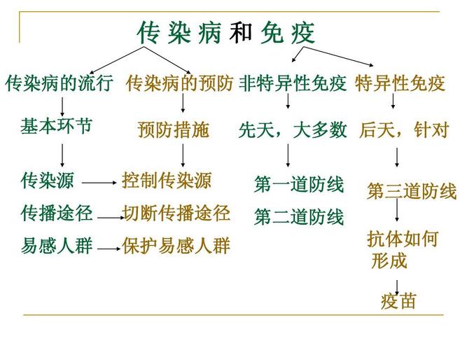 dnn_传染病和免疫复习课件答案ppt