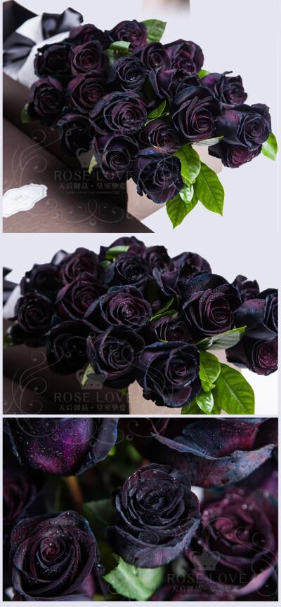 黑玫瑰