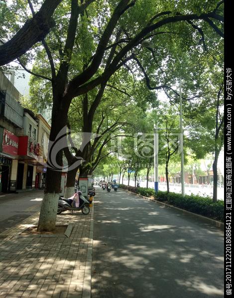 清晨的城市街道