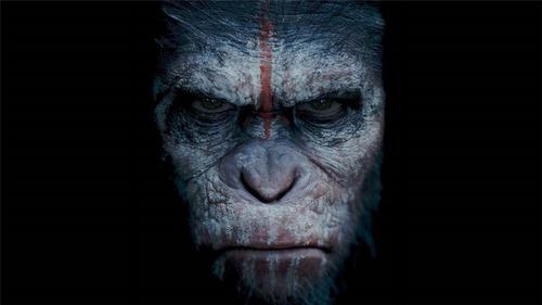 电影猩球崛起2凯撒海报图片