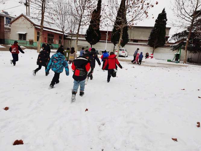 乐林小学附属幼儿园让孩子们赏雪,玩雪.