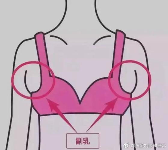有效解决胸部先天扁平,发育不良,产后胸部下垂,外扩松弛等问题,让胸部