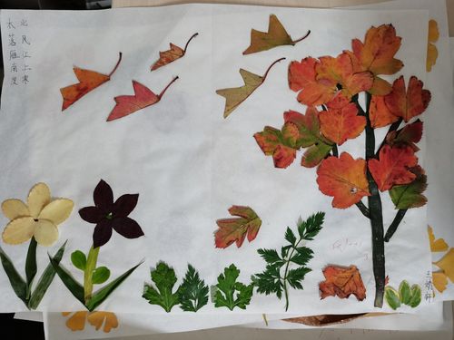 中学初二级部语文活动"诗画绘秋"树叶画作品展 写美篇春夏秋冬又一年