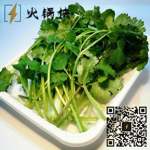 火锅配菜-香菜