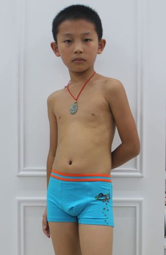 儿童短裤 弹力棉男童内裤 小孩三角裤 平角裤8365