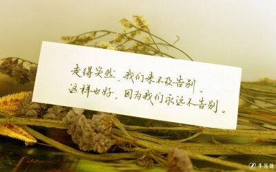 走得突然,我们来不及告别.