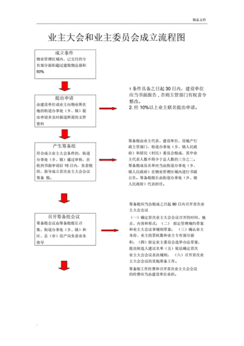 业主大会以及业主委员会成立流程纲要纲要图docx2页