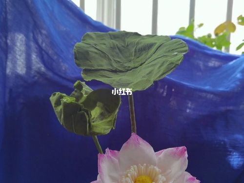 用纸巾做荷叶的方法,创意手工花制作diy_手工制作_diy