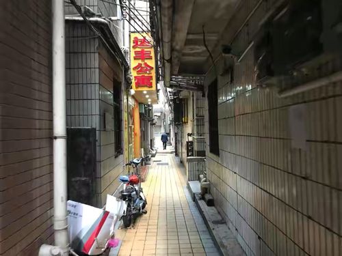 深圳福田cbd唯一的城中村岗厦村最烈的生活气息最努力的人们