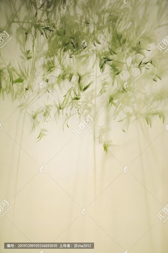 竹影