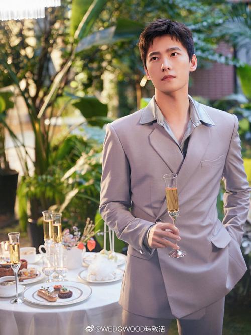 wedgwood代言人杨洋