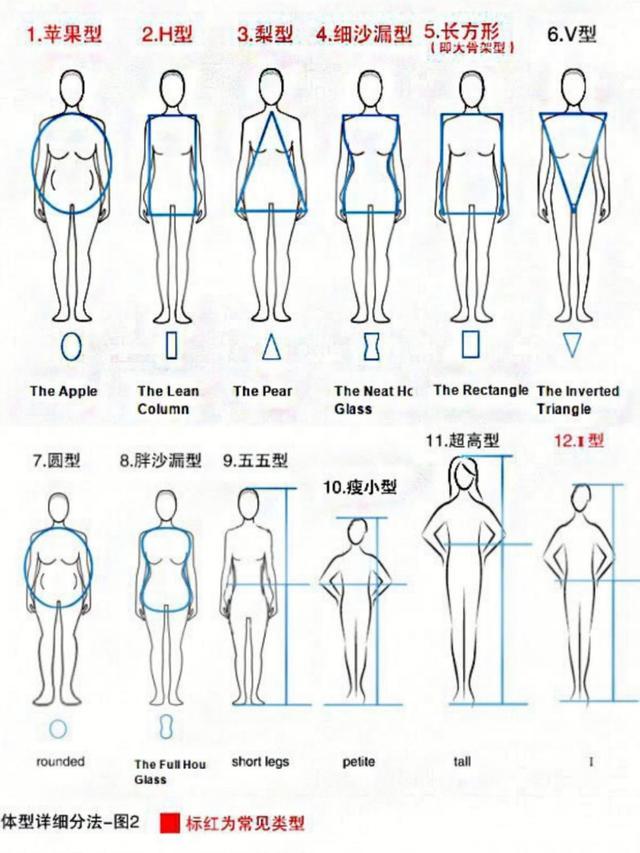 女生体型分类表