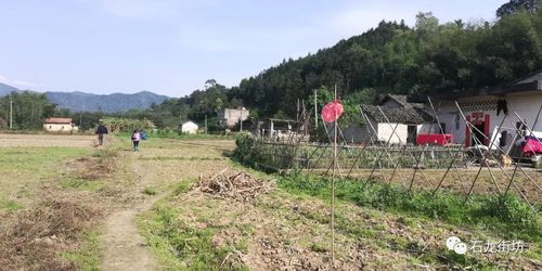 一组石龙中峡江村的风光图片