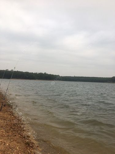 钓场 北海钓场 清水江水库