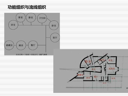 功能组织与流线组织