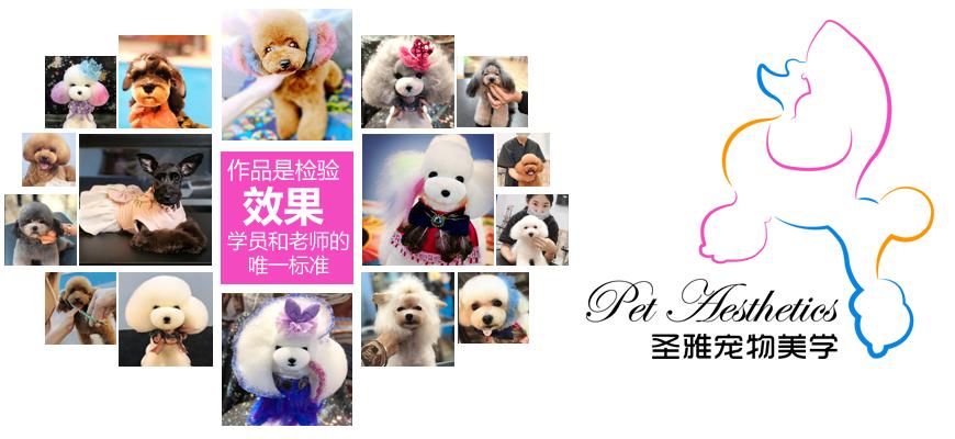 重庆宠物美容师培训多少钱圣雅宠物美学师资强大