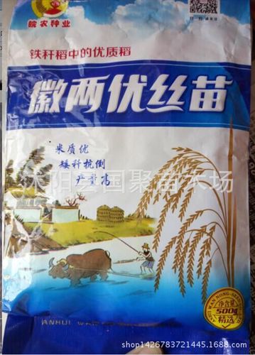批发郑旱6号高产旱稻种子 稻谷种子水稻种子高产高抗病稳产1400斤