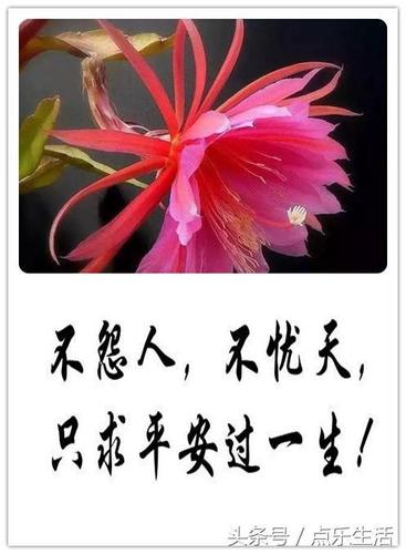不怨人,不忧天,只求平安过一生(美文)!