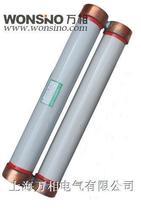 保险 户内高压限流熔断器 高分断能力 63a 12kv 10 xrnt1 sfldj