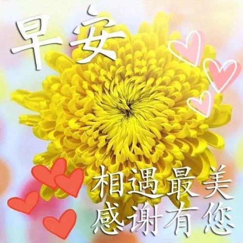 2019早晨图片祝福句子 早晨好表情问候短句