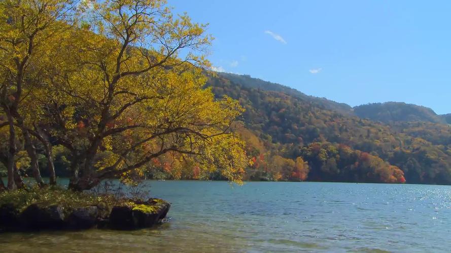 湖边秋景秋天风景视频素材