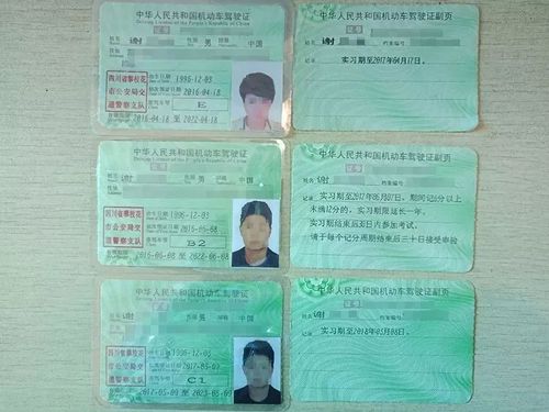 惊!一人竟持有3本假驾驶证