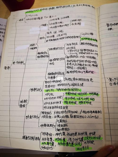 生理学提纲三_学习笔记_教育_教育其他
