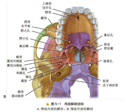超清图解:鼻窦及颅底ct解剖